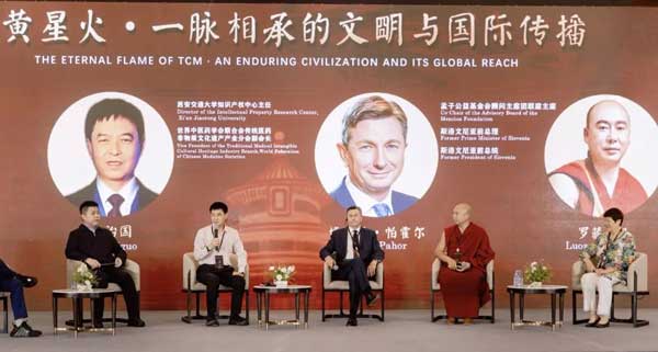 图片-2.jpg