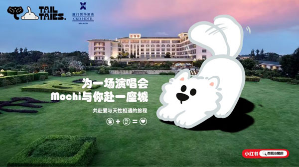 毛茸万亿：从“TA消费”到“人宠共适”的温柔跃迁