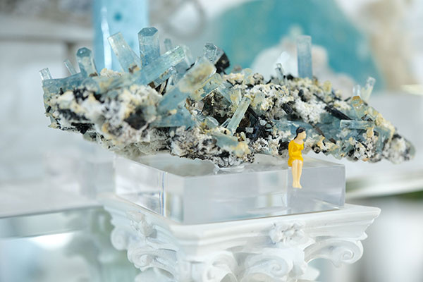 世序自然艺术馆五周年庆典与《New World》联名展开幕——自然与艺术的融合式史诗对话