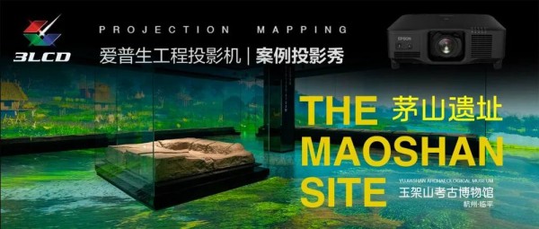 image-minify (9).jpg