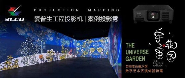 image-minify (16).jpg