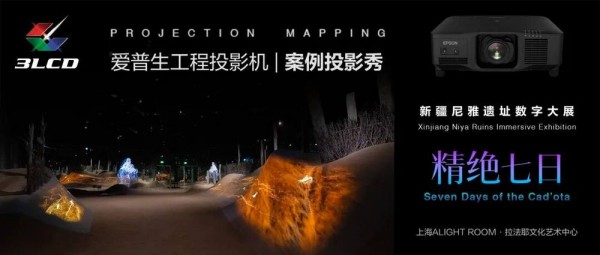 image-minify (14).jpg